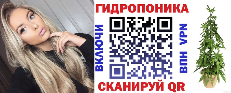 Канабис SATIVA & INDICA  MEGA маркетплейс  Чадан 